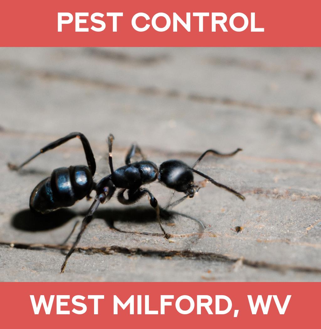 pest control in West Milford West Virginia