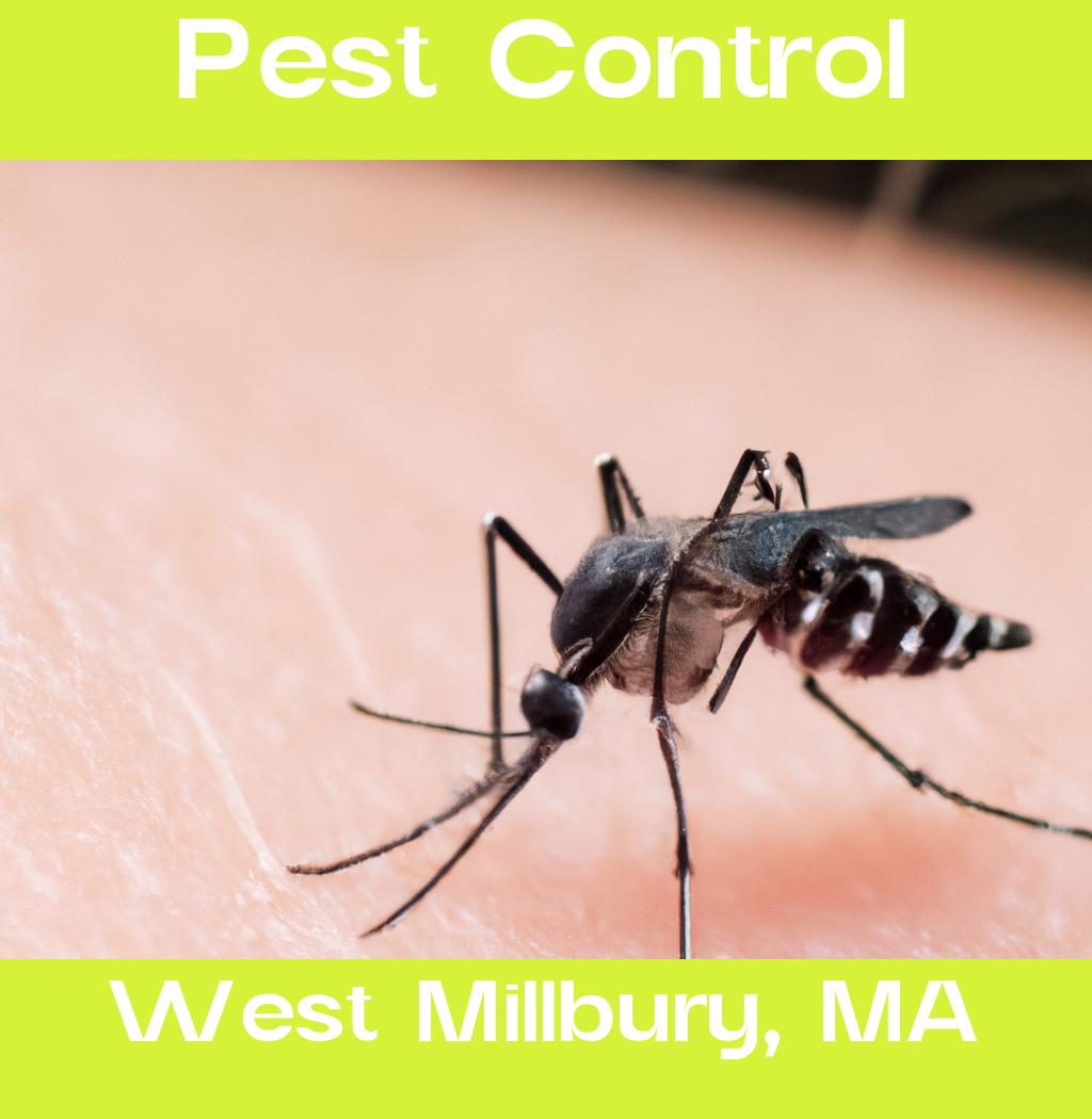 pest control in West Millbury Massachusetts