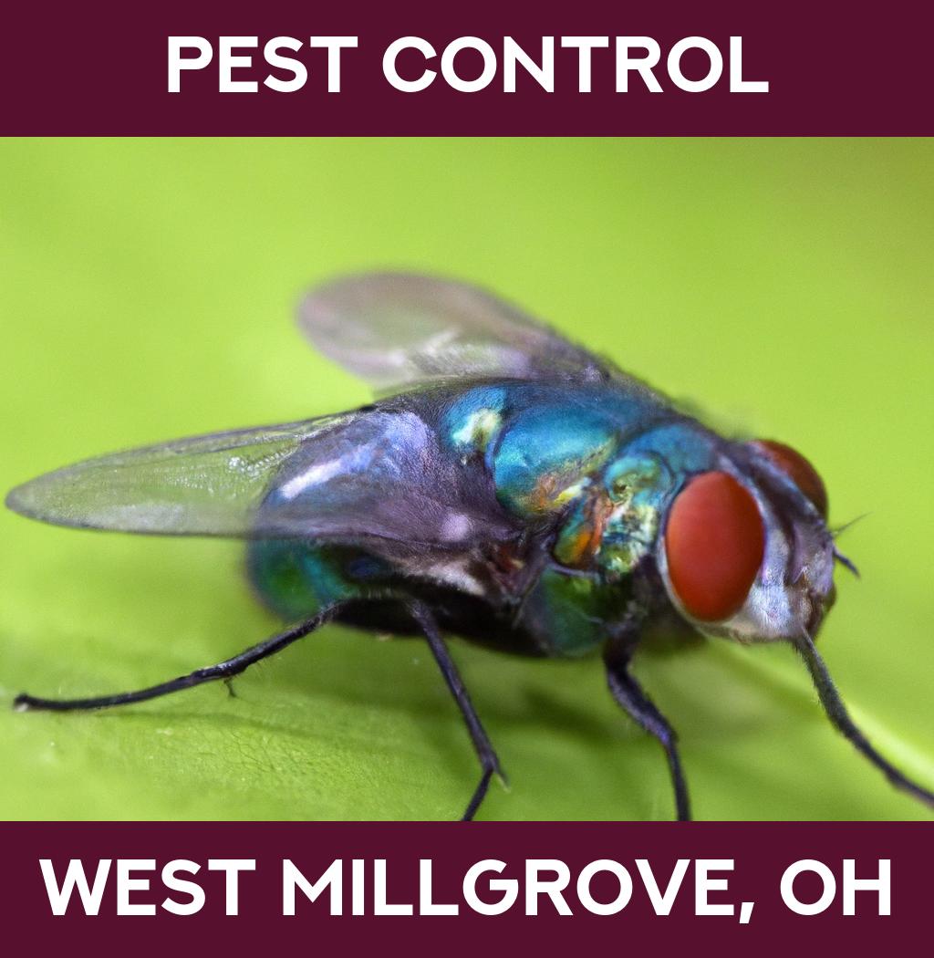 pest control in West Millgrove Ohio