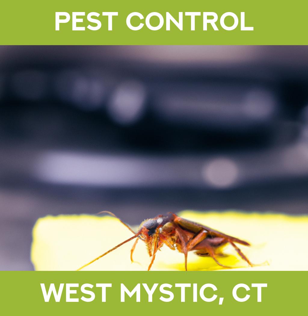pest control in West Mystic Connecticut