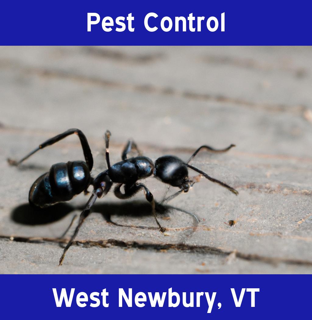 pest control in West Newbury Vermont