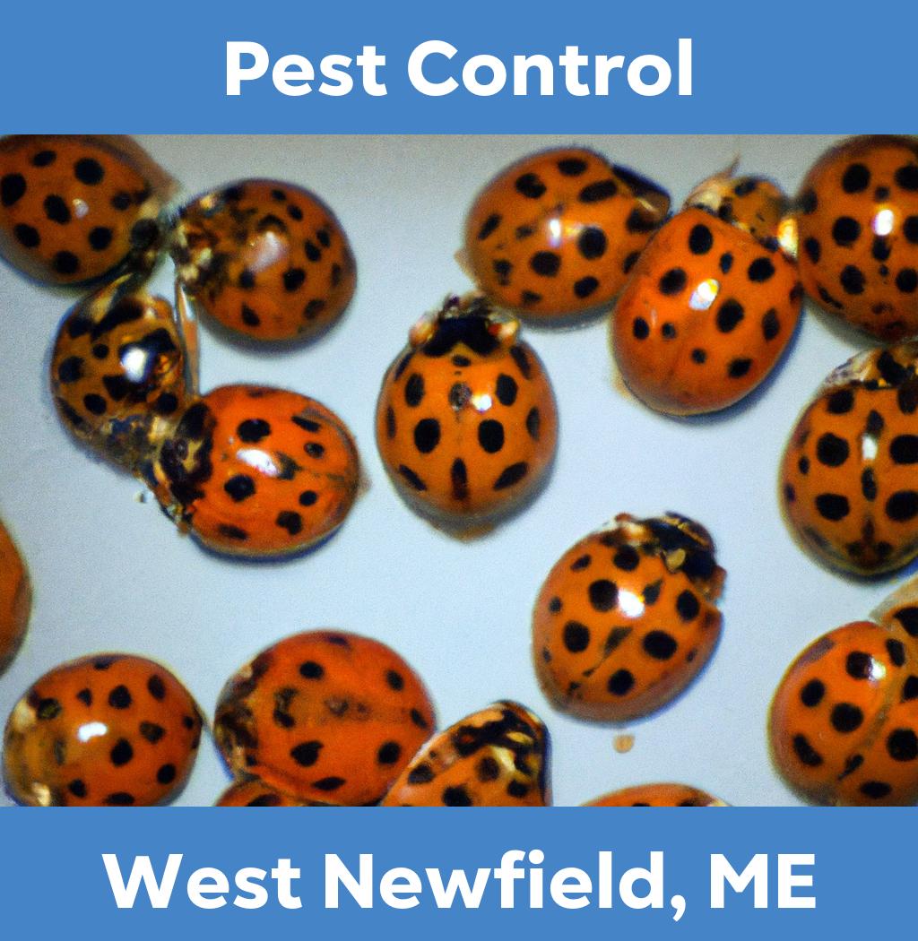 pest control in West Newfield Maine