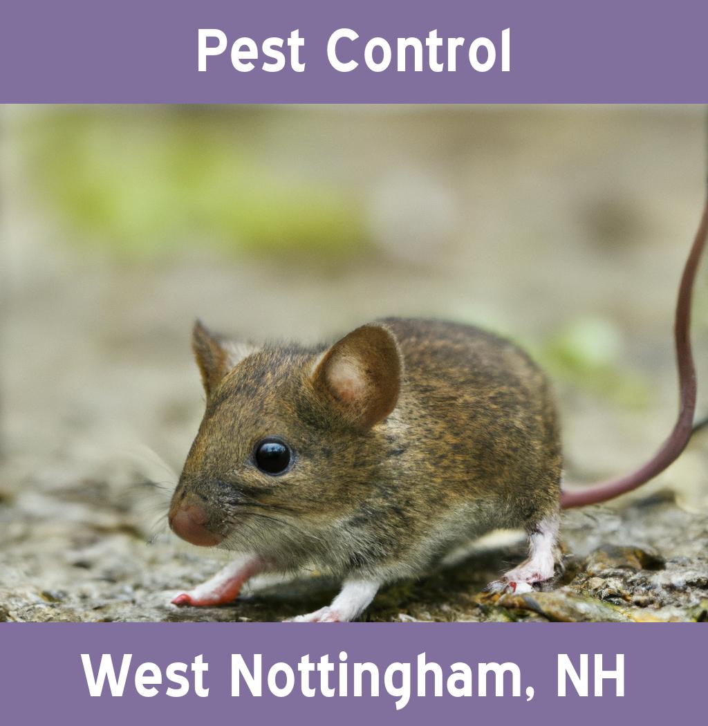 pest control in West Nottingham New Hampshire