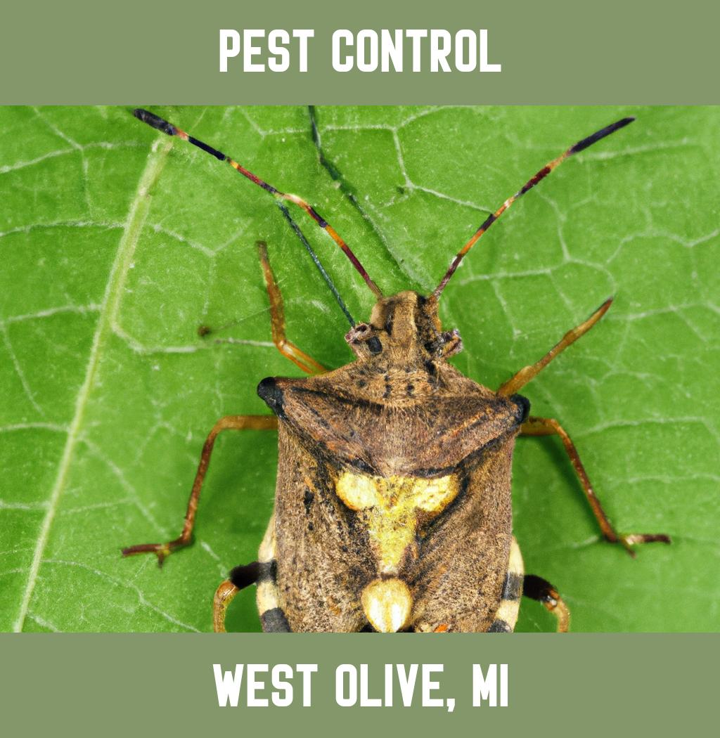 pest control in West Olive Michigan