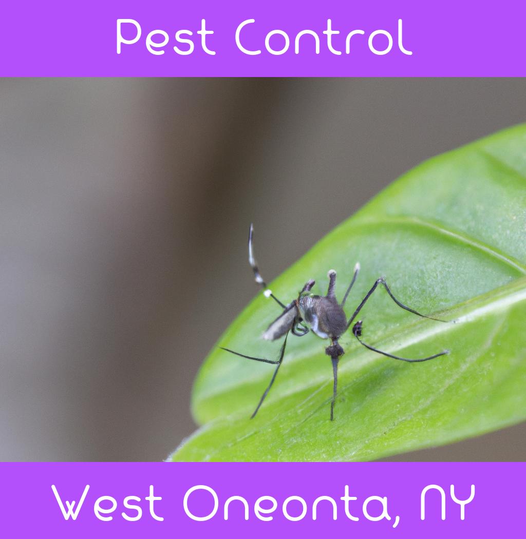 pest control in West Oneonta New York