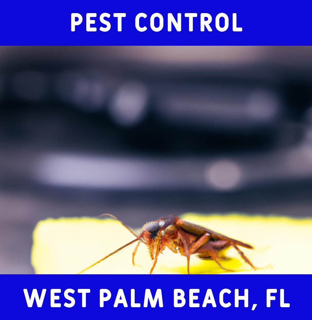 pest control in West Palm Beach Florida