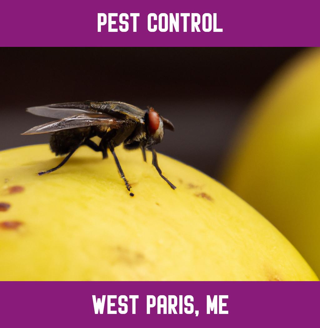 pest control in West Paris Maine