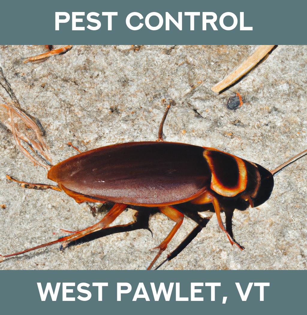 pest control in West Pawlet Vermont