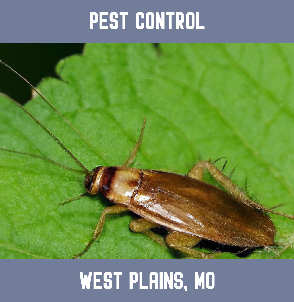pest control in West Plains Missouri