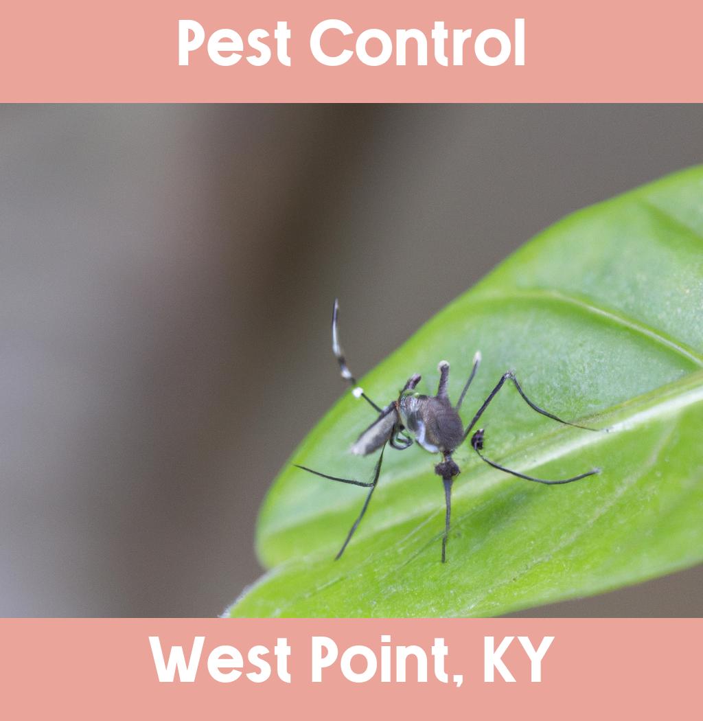 pest control in West Point Kentucky