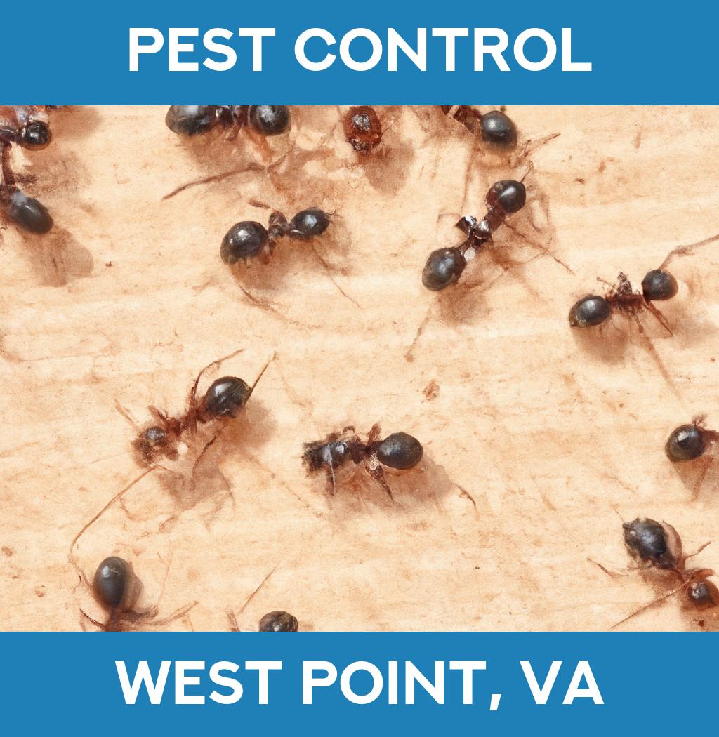 pest control in West Point Virginia