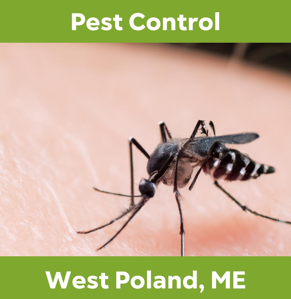 pest control in West Poland Maine