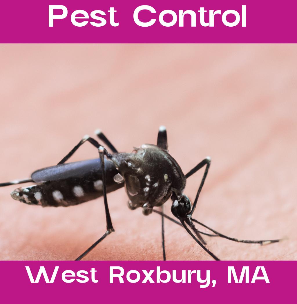 pest control in West Roxbury Massachusetts