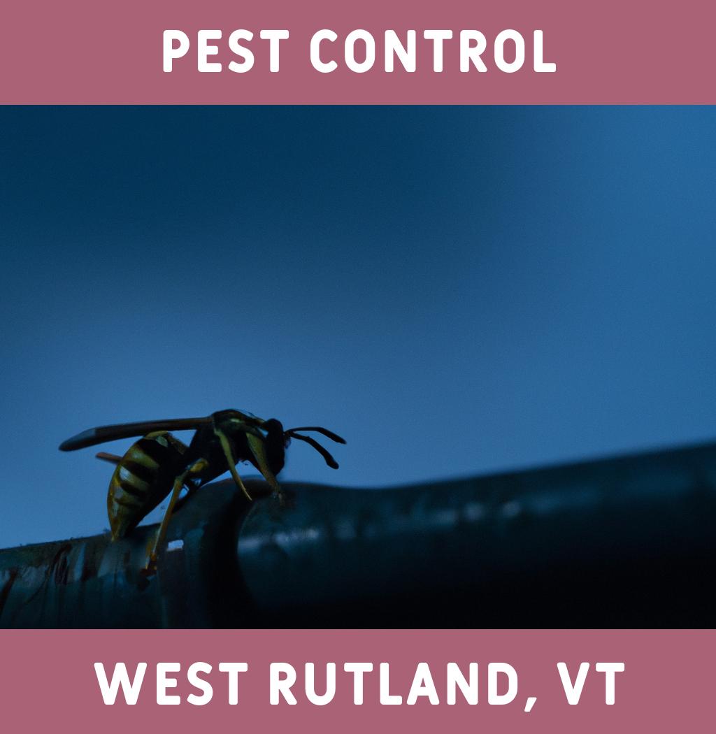 pest control in West Rutland Vermont