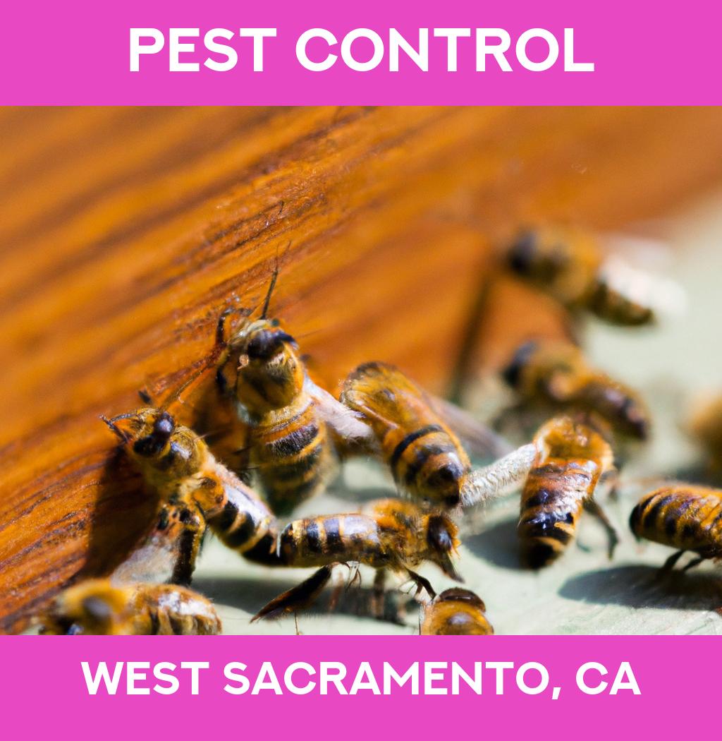 pest control in West Sacramento California