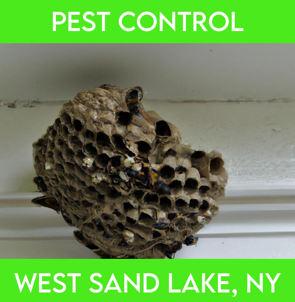 pest control in West Sand Lake New York