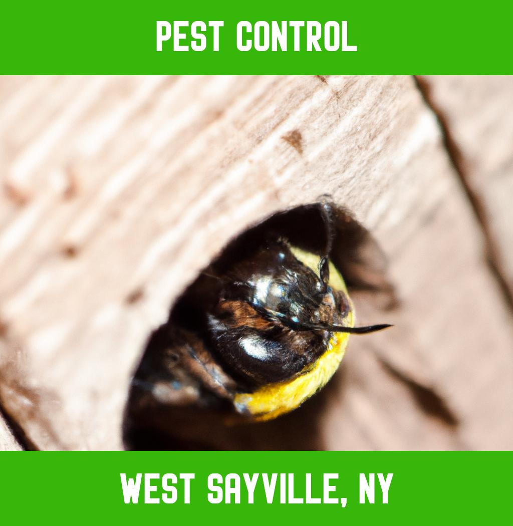 pest control in West Sayville New York