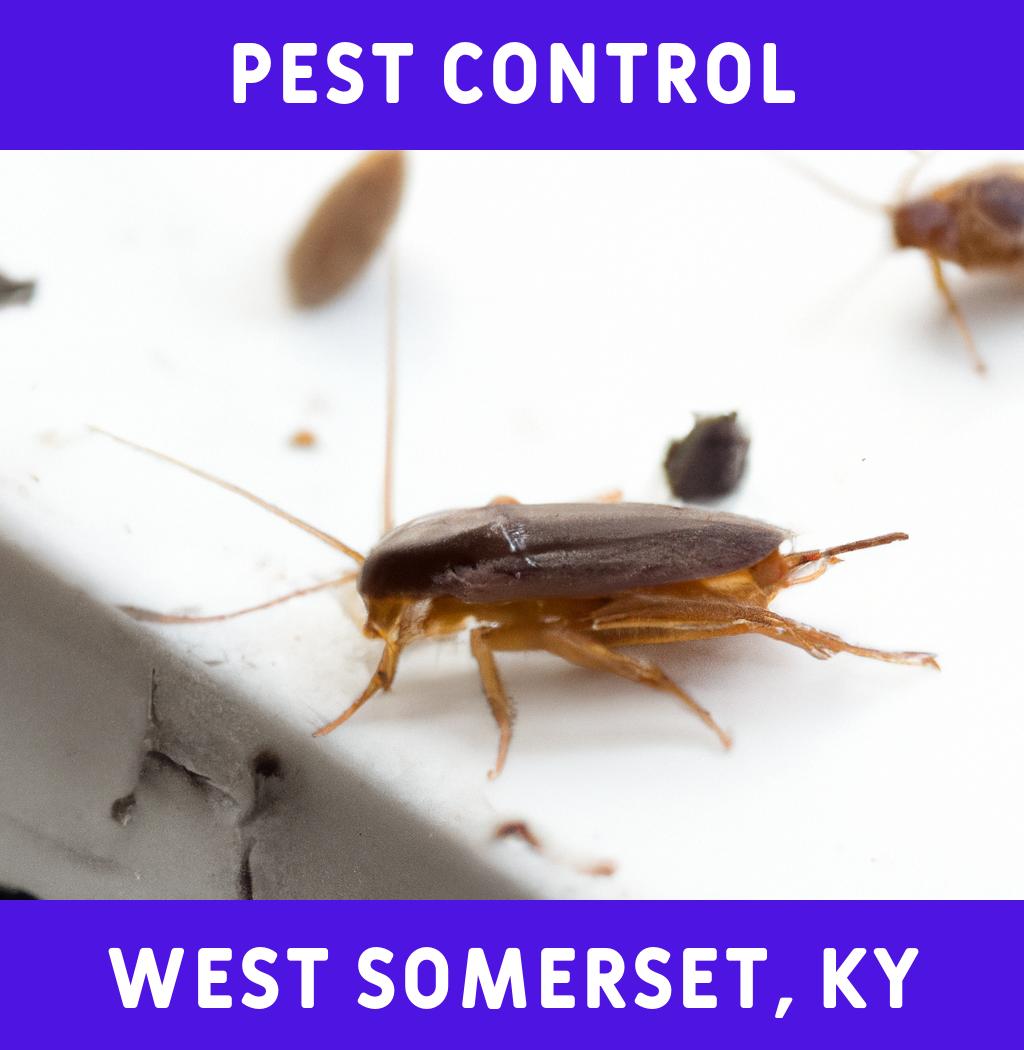pest control in West Somerset Kentucky