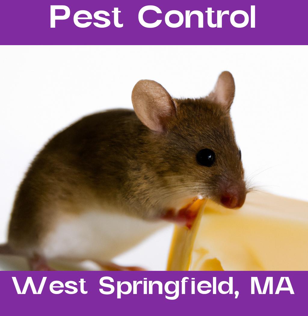pest control in West Springfield Massachusetts