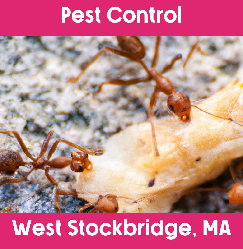 pest control in West Stockbridge Massachusetts