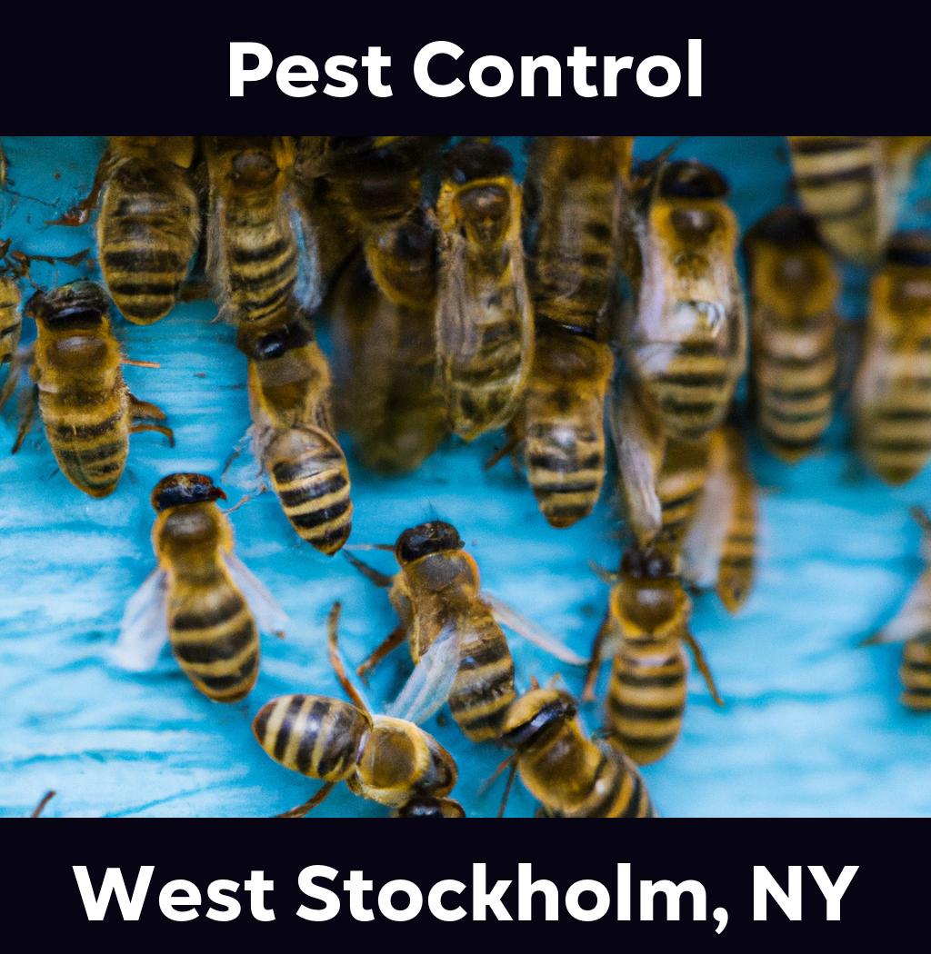 pest control in West Stockholm New York