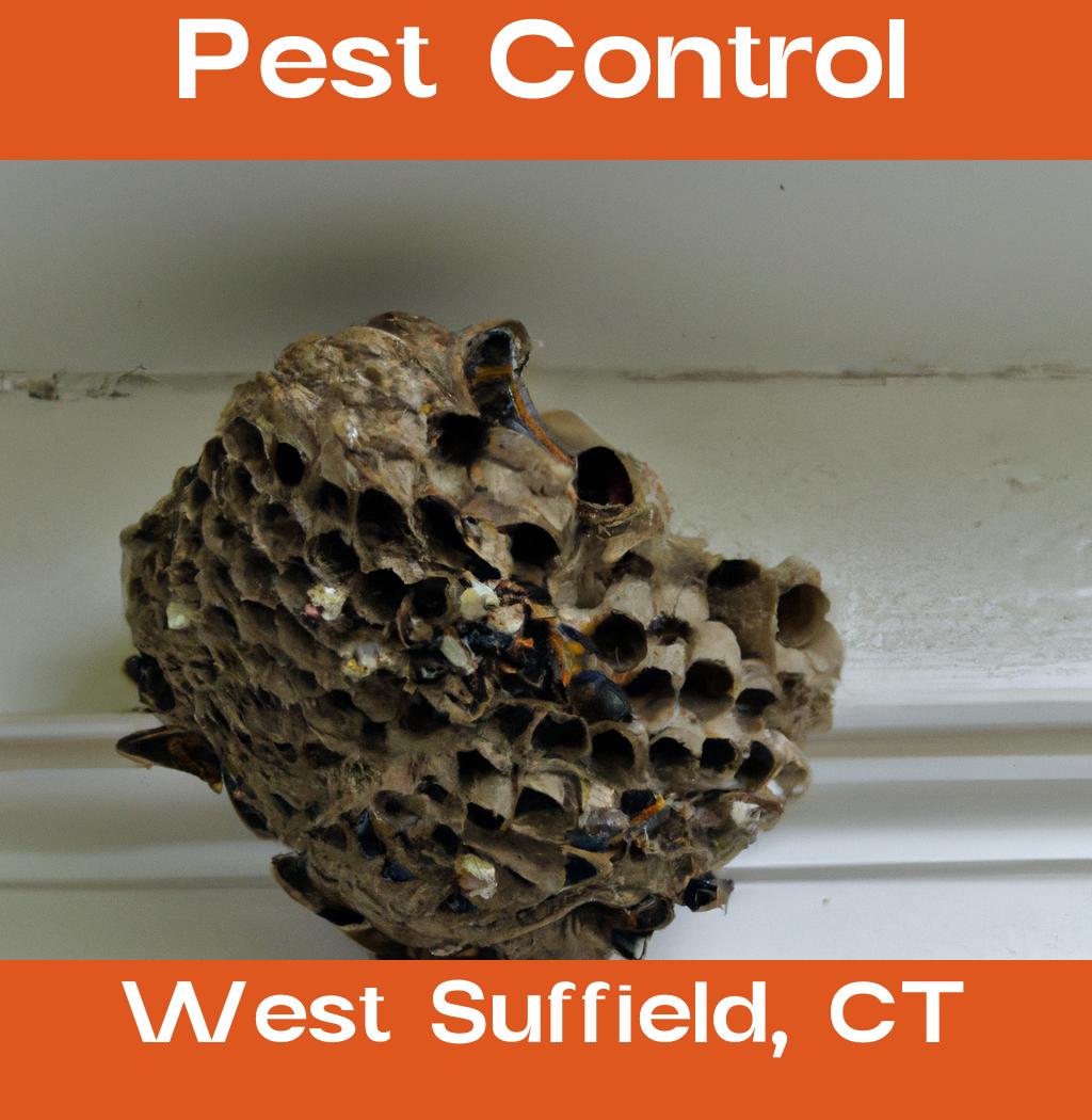 pest control in West Suffield Connecticut