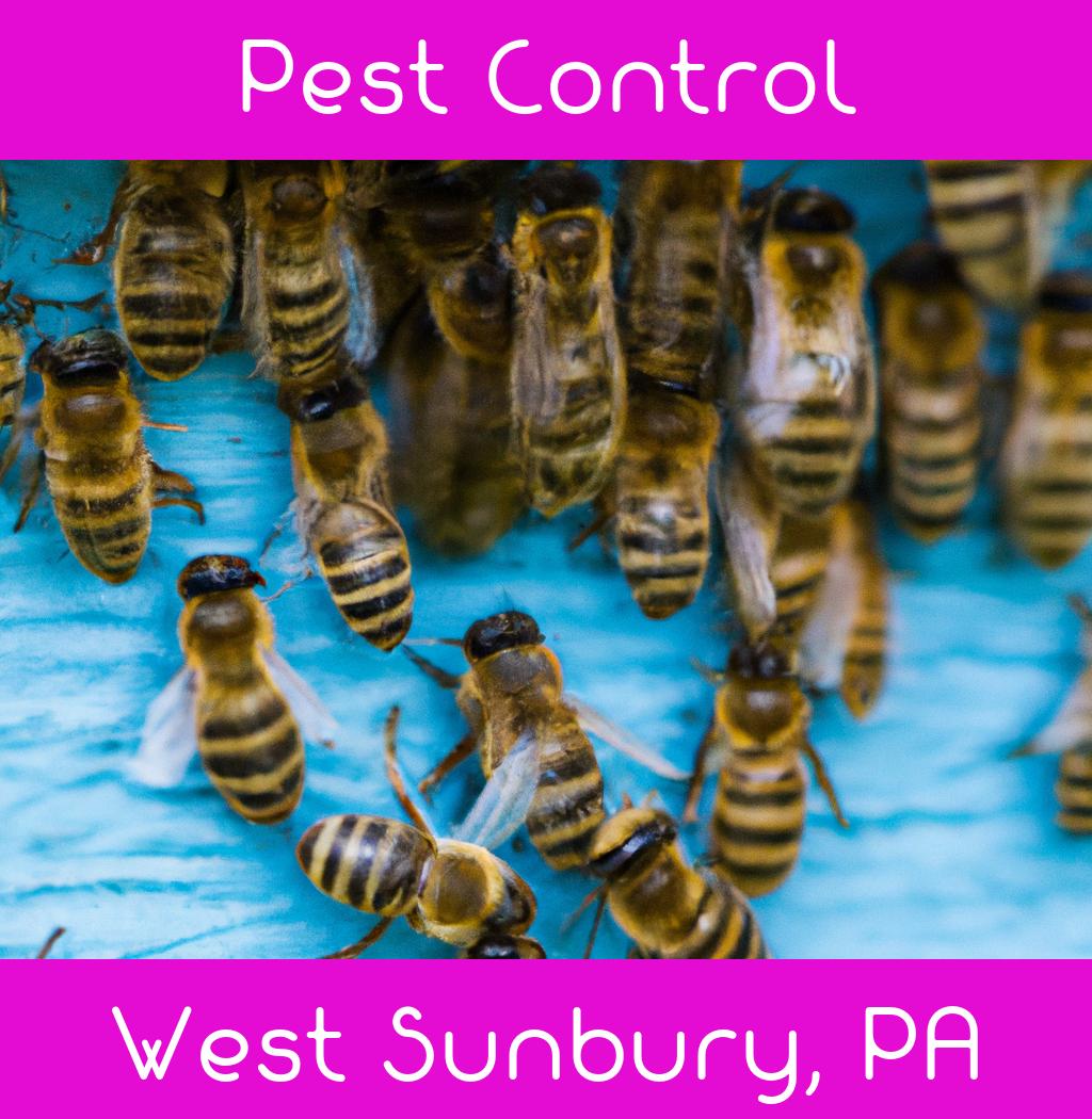 pest control in West Sunbury Pennsylvania