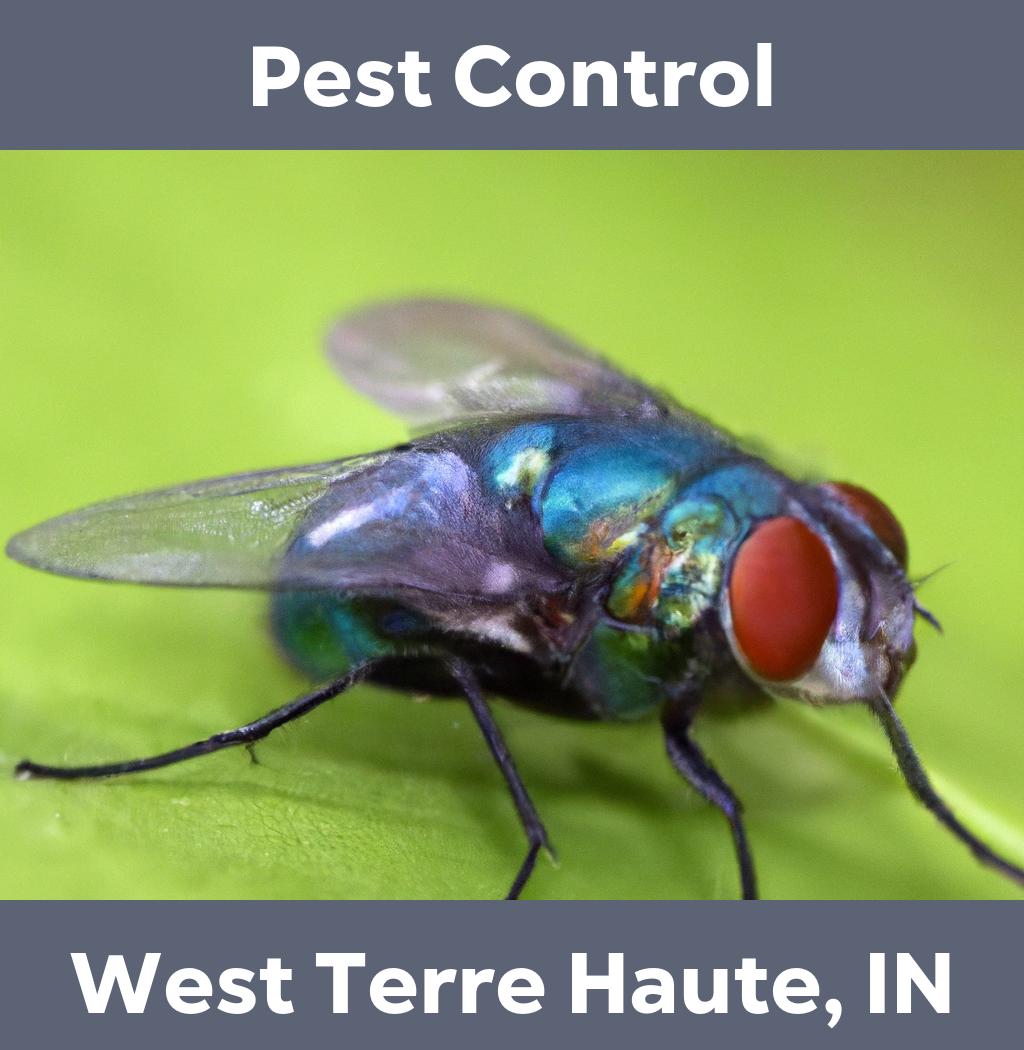 pest control in West Terre Haute Indiana
