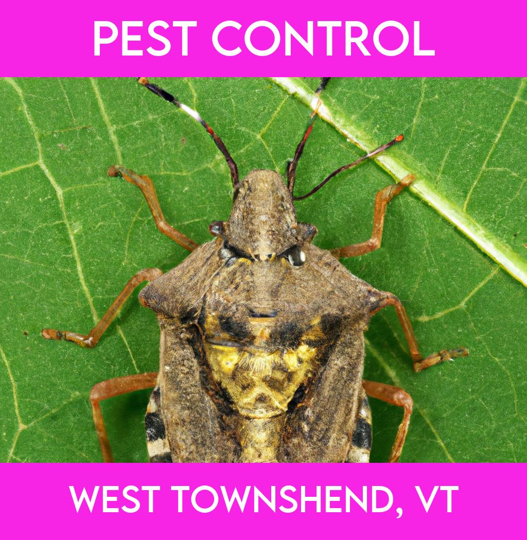 pest control in West Townshend Vermont