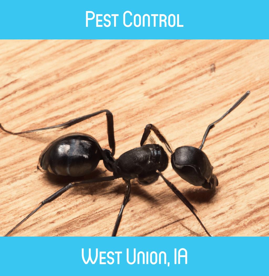 pest control in West Union Iowa