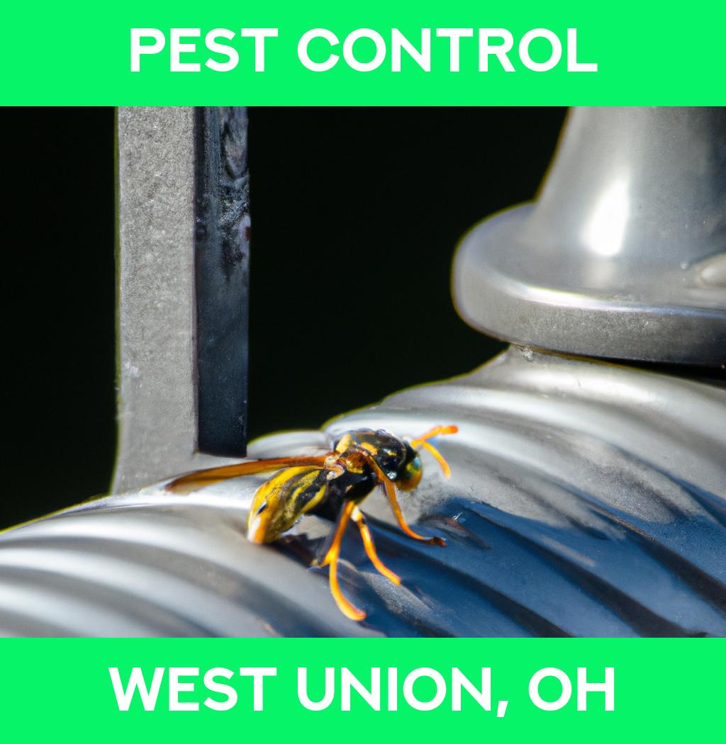 pest control in West Union Ohio