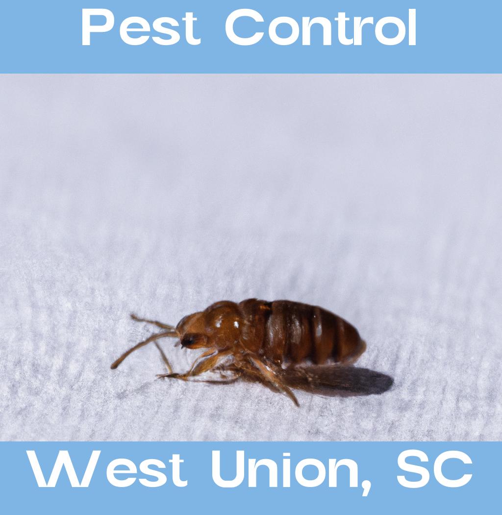 pest control in West Union South Carolina