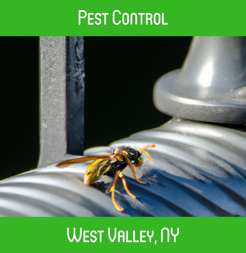 pest control in West Valley New York