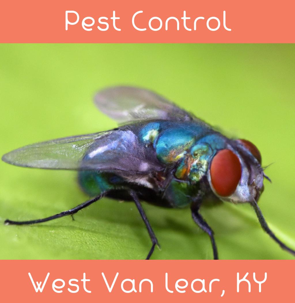 pest control in West Van Lear Kentucky
