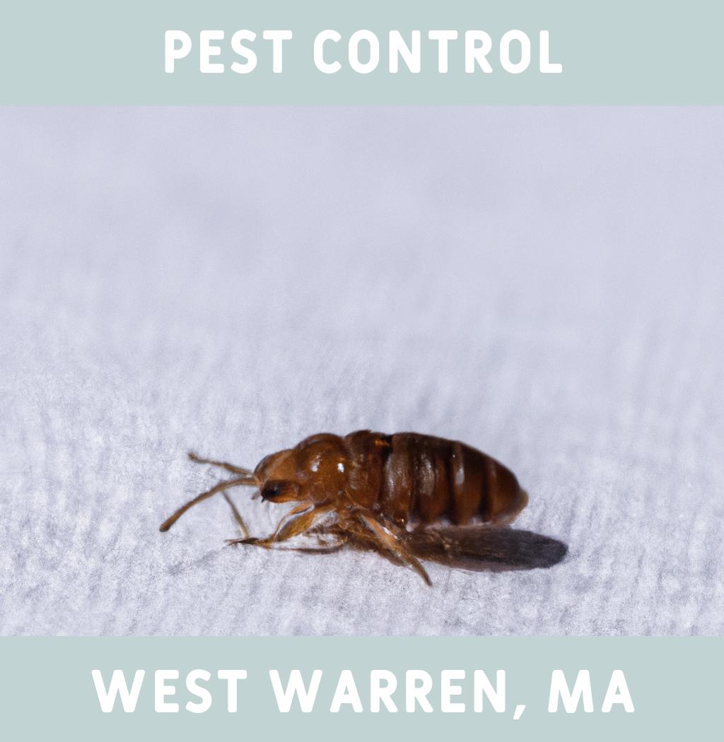 pest control in West Warren Massachusetts