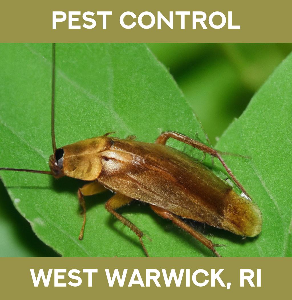 pest control in West Warwick Rhode Island