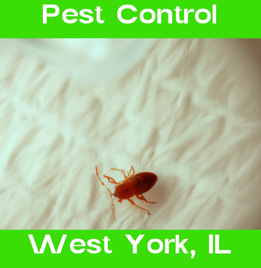 pest control in West York Illinois