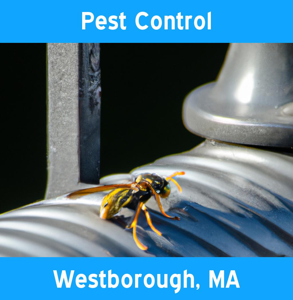 pest control in Westborough Massachusetts