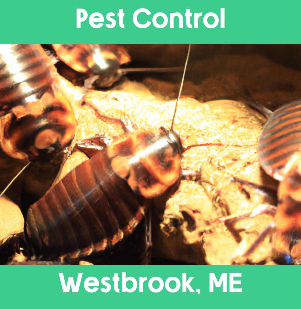 pest control in Westbrook Maine