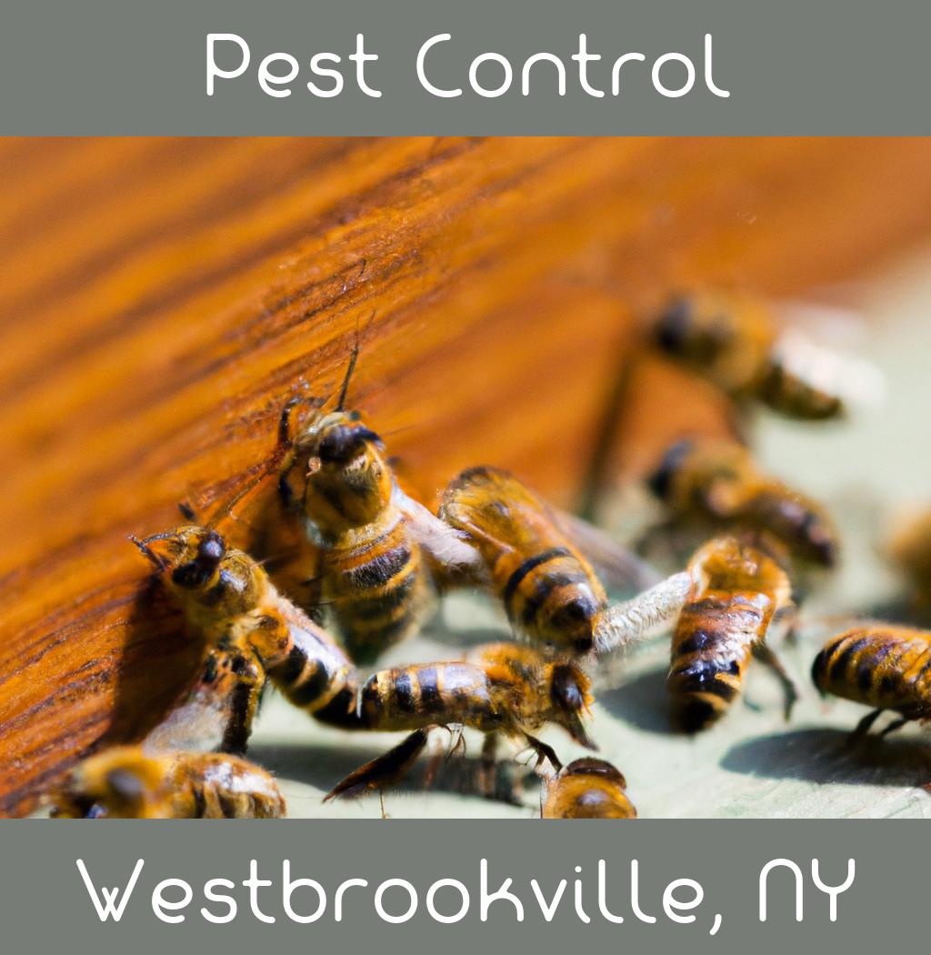 pest control in Westbrookville New York