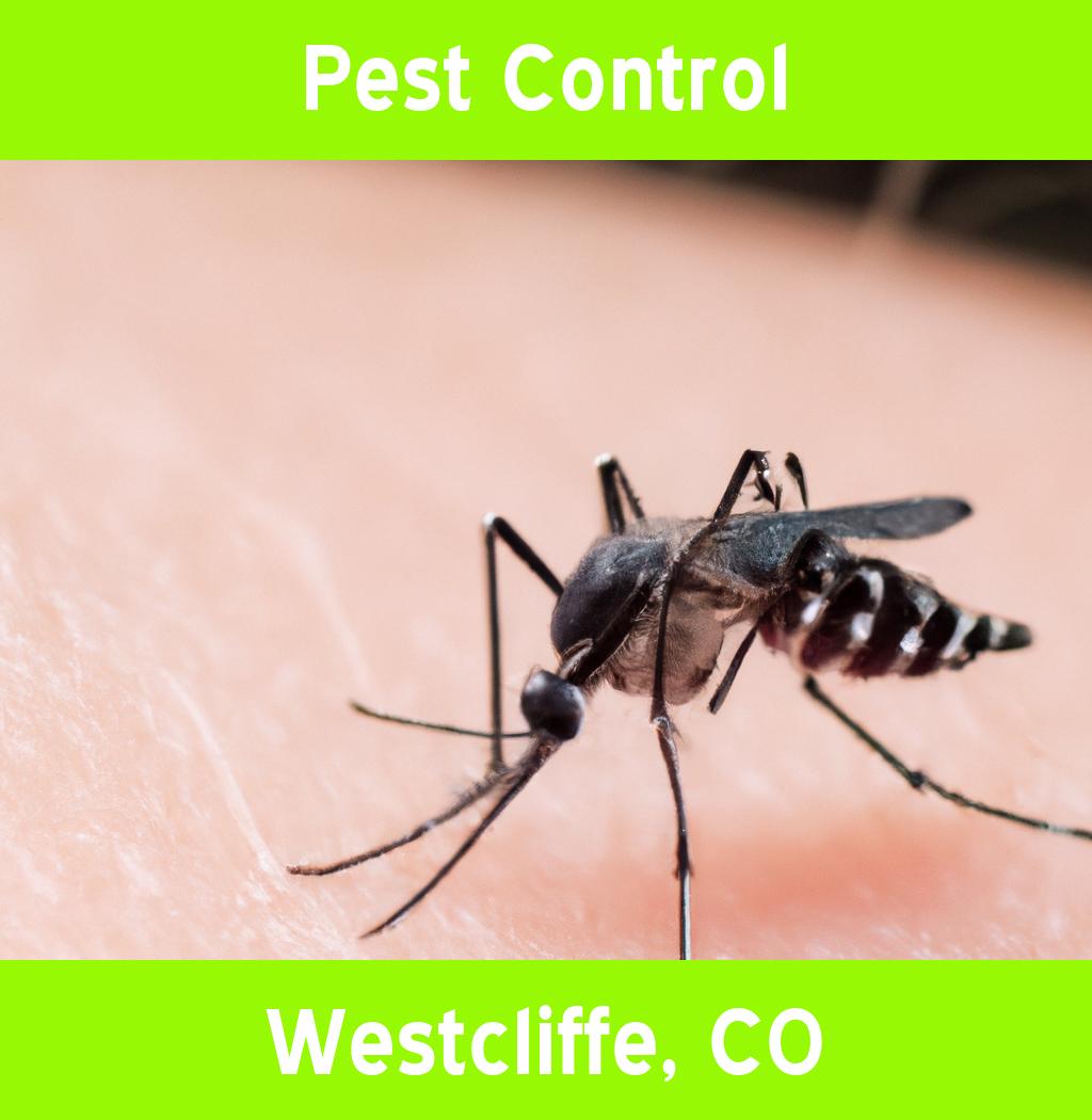 pest control in Westcliffe Colorado