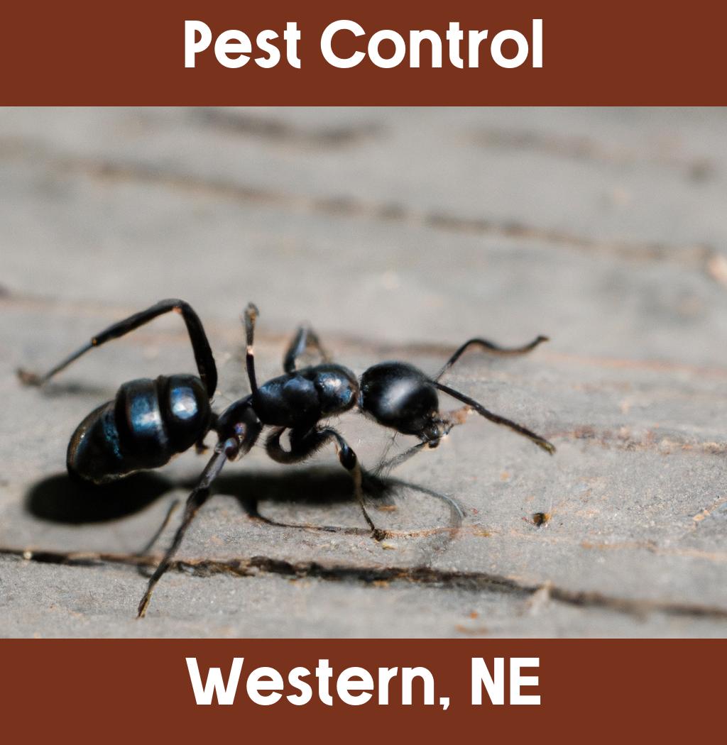 pest control in Western Nebraska