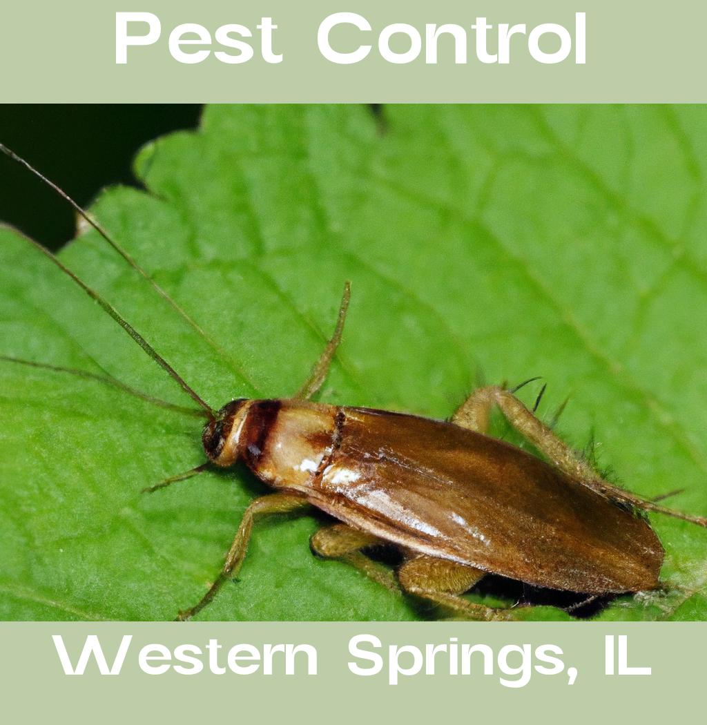 pest control in Western Springs Illinois