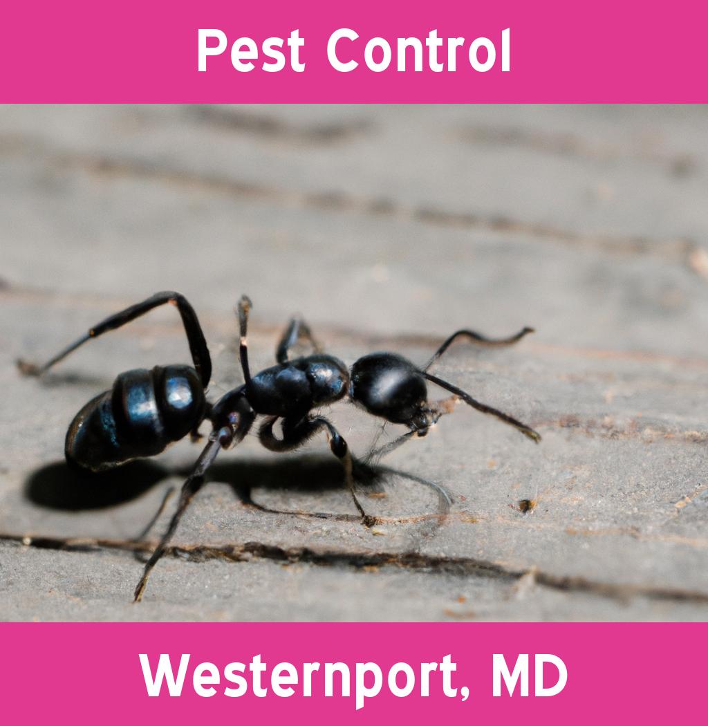 pest control in Westernport Maryland