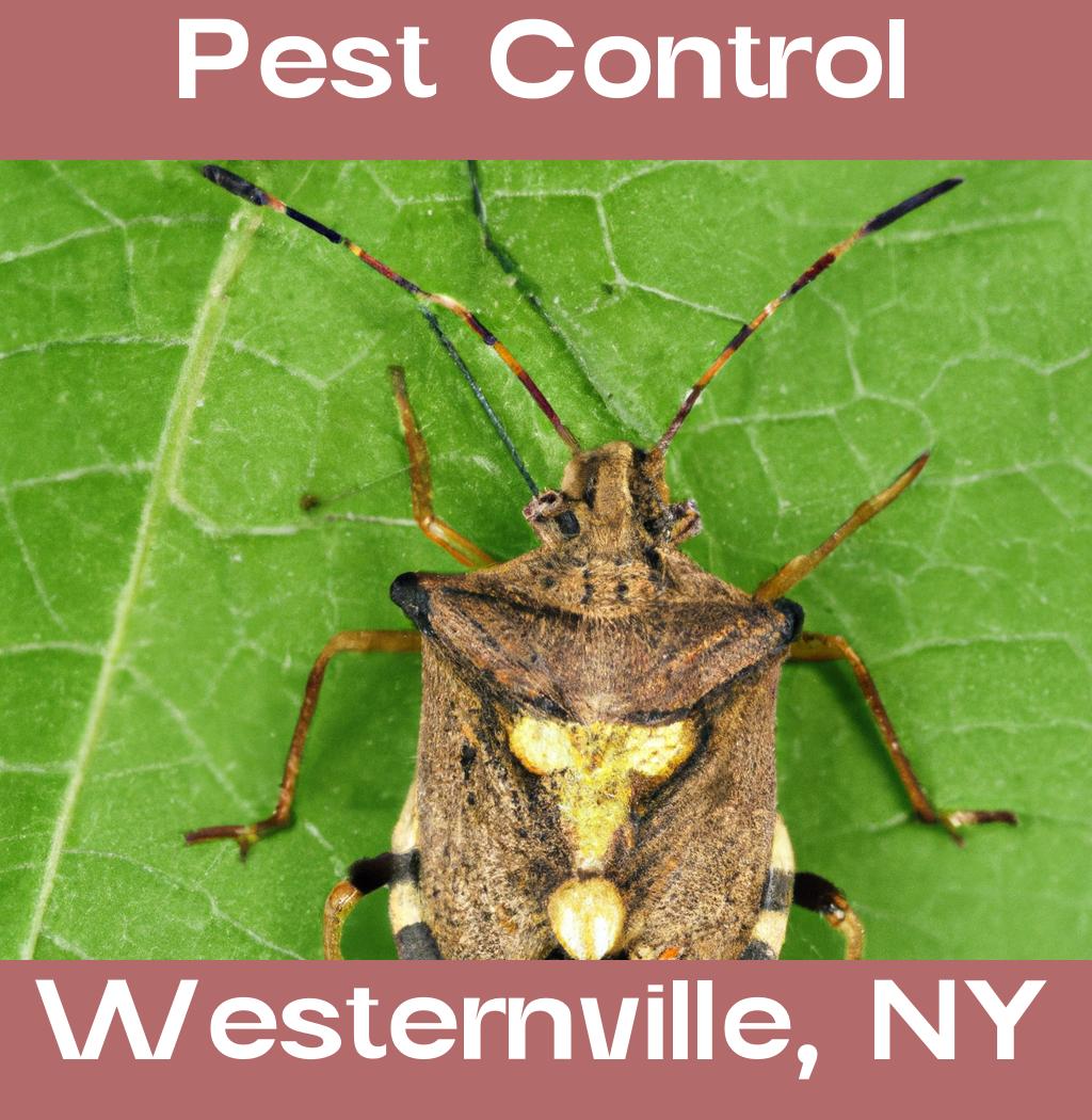 pest control in Westernville New York