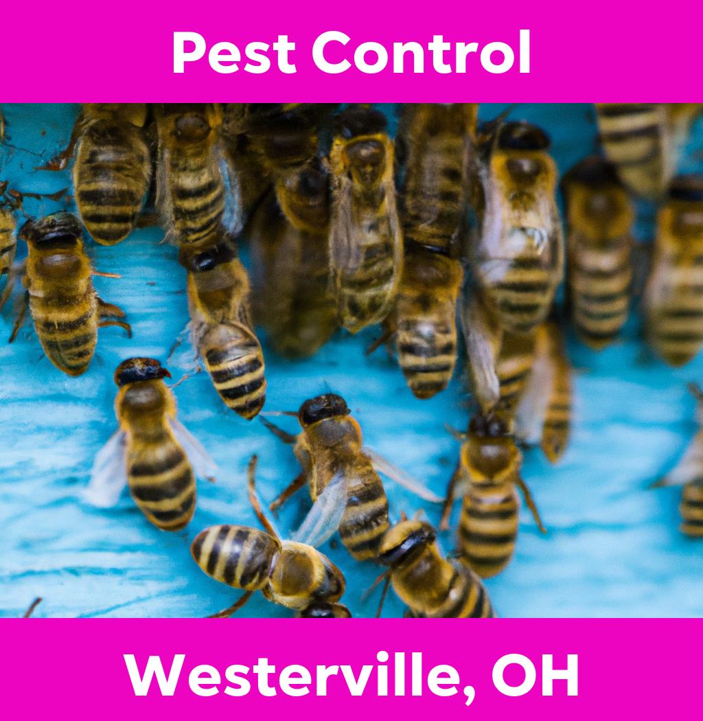 pest control in Westerville Ohio