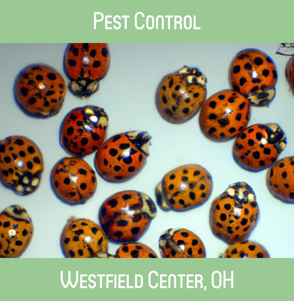 pest control in Westfield Center Ohio