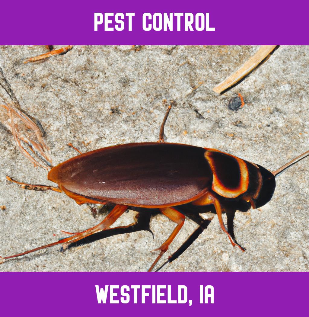 pest control in Westfield Iowa