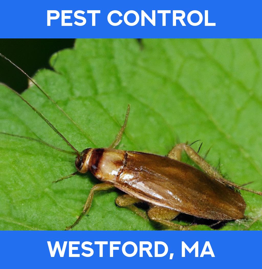 pest control in Westford Massachusetts