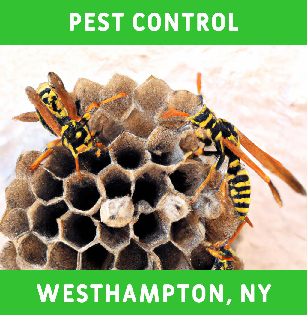 pest control in Westhampton New York